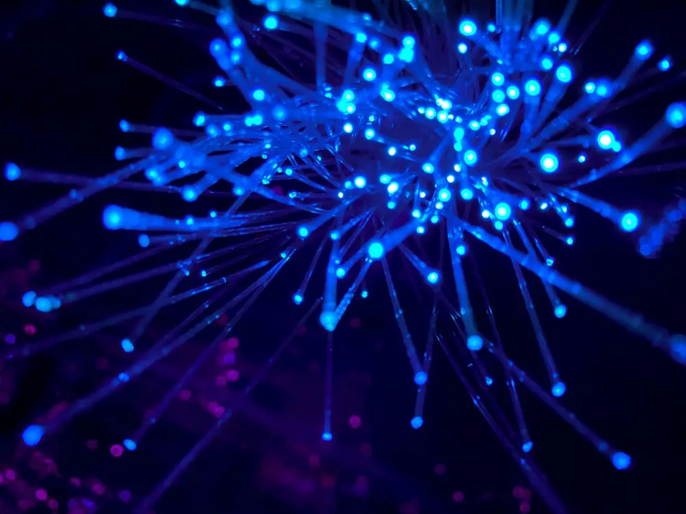Strands of fibre-optic cable glowing blue