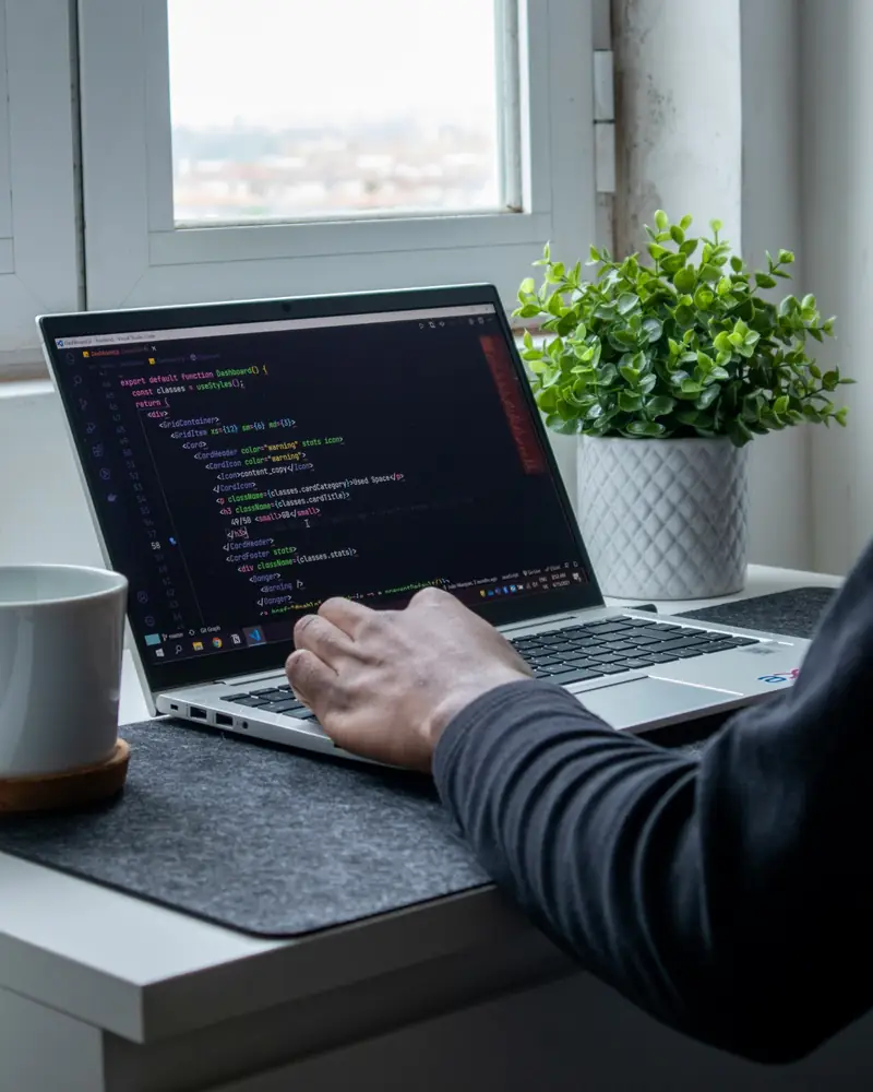 A person writing code on a laptop by a window, beside a coffee cup and a pot plant